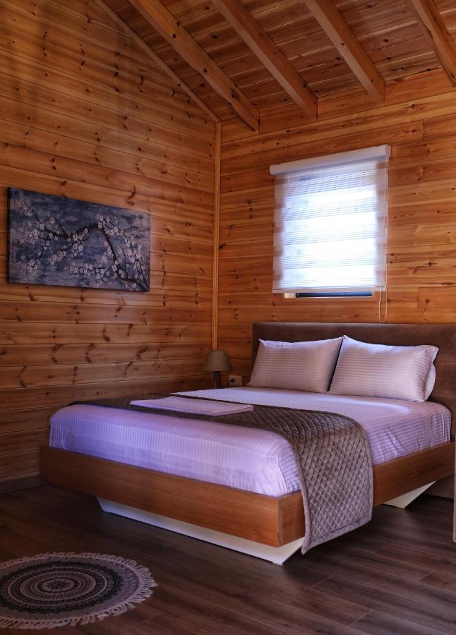 Bujtina Siar Hotel Pogradec Bagian luar foto
