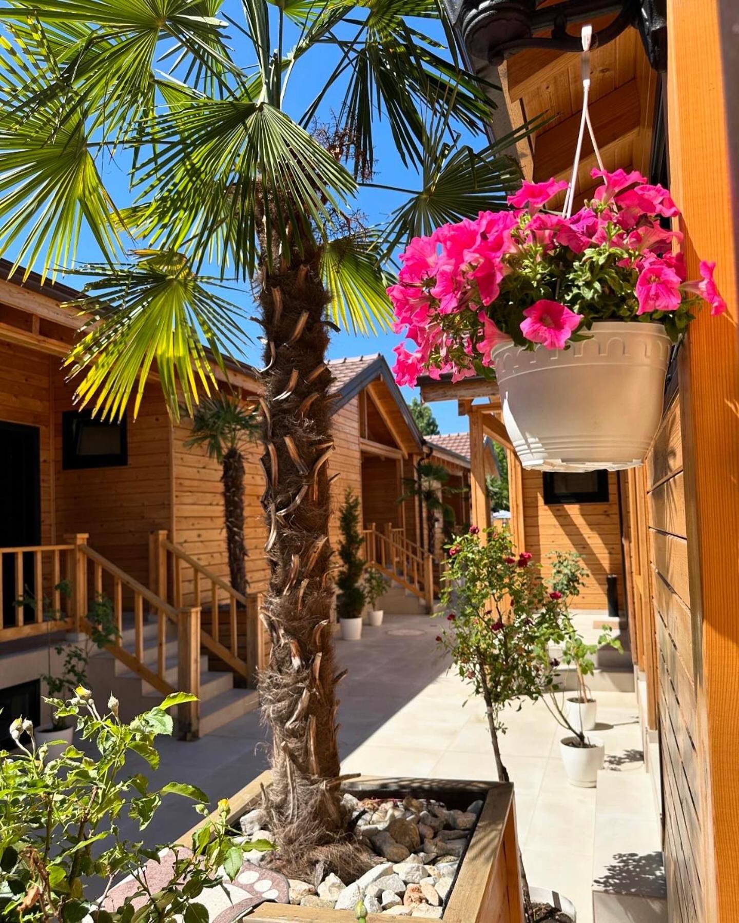 Bujtina Siar Hotel Pogradec Bagian luar foto