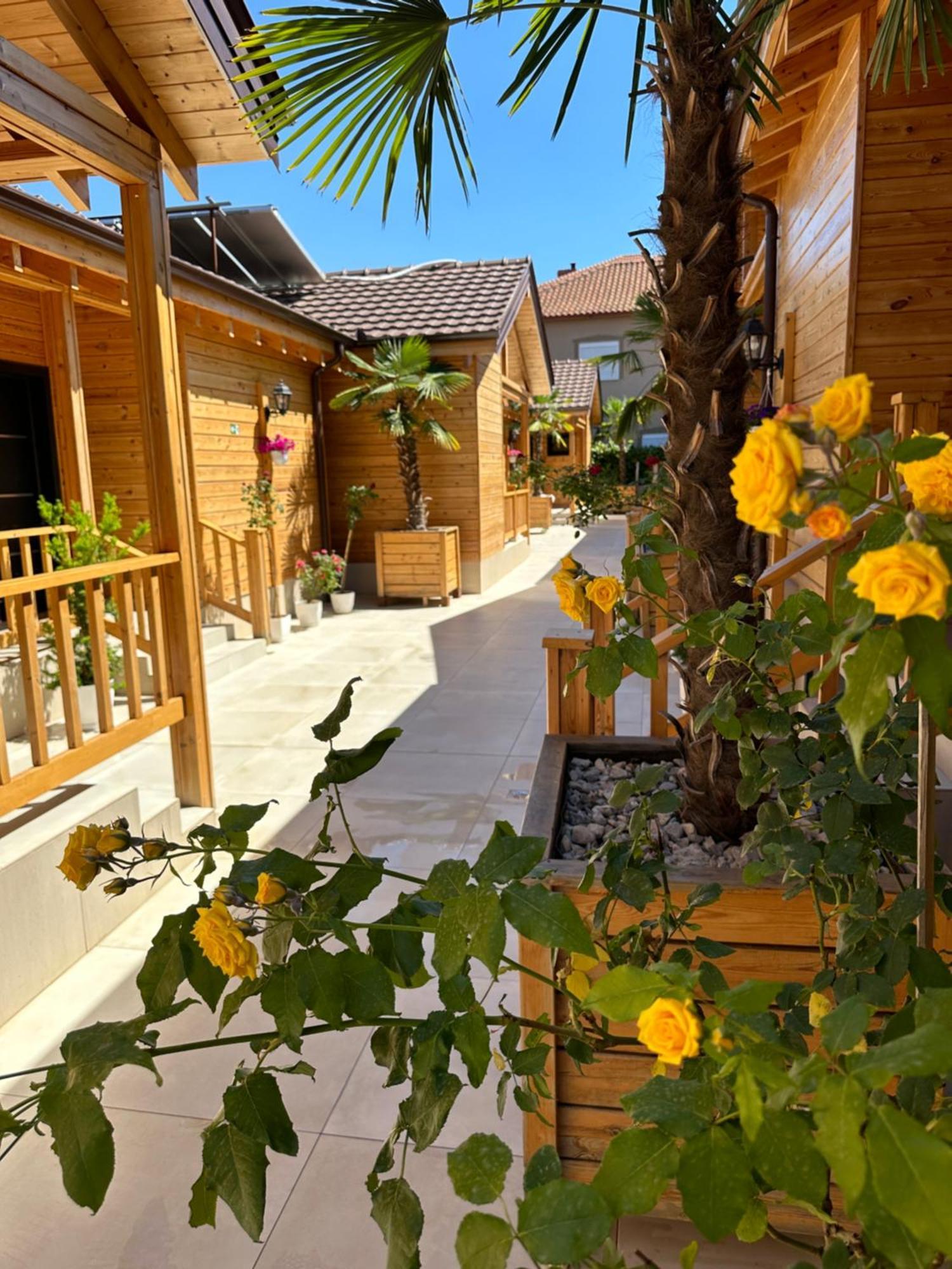 Bujtina Siar Hotel Pogradec Bagian luar foto